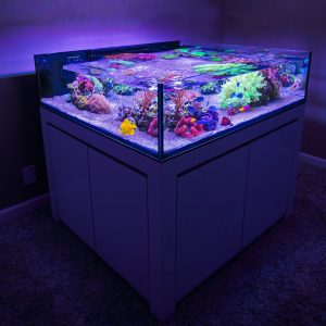 Asesoría para tu tanque